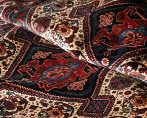 قالیشویی باقری تهرانپارس